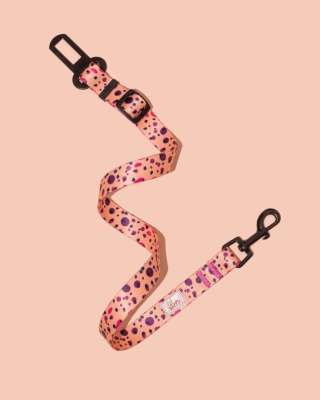 Pas bezpieczeństwa PawPlum