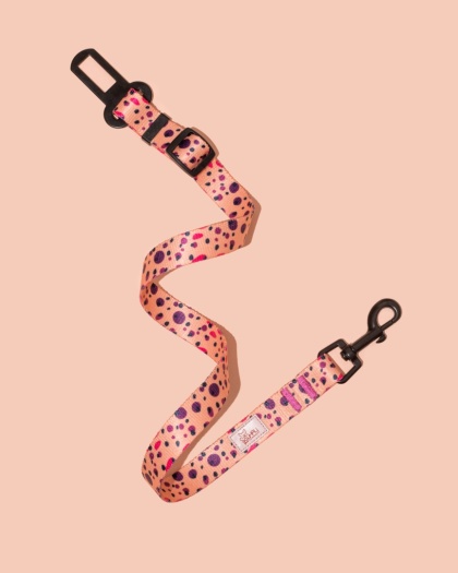 Pas bezpieczeństwa PawPlum