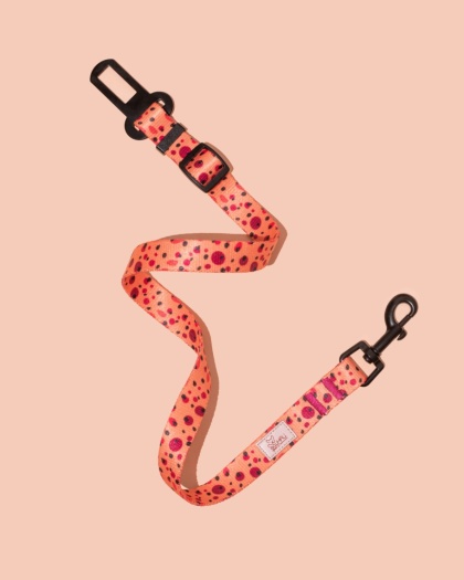 Pas bezpieczeństwa PawTangerine