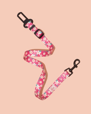 Pas bezpieczeństwa PupsyBlossom