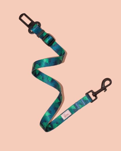 Pas bezpieczeństwa PupsyFern