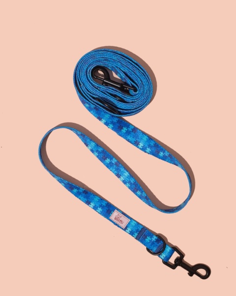 Smycz przepinana HauBlue