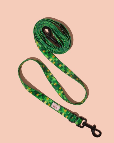 Smycz przepinana HauGreen