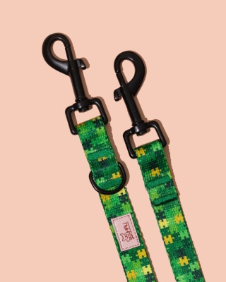 Smycz przepinana HauGreen