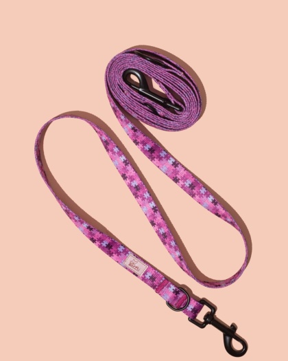 Smycz przepinana HauPink