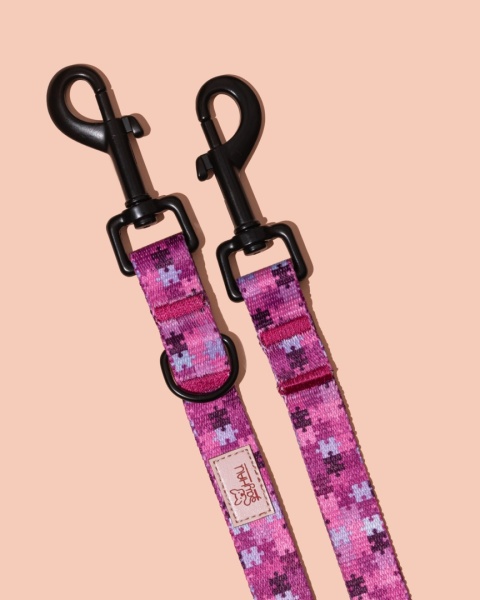 Smycz przepinana HauPink