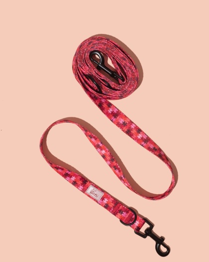 Smycz przepinana HauRed