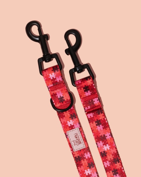 Smycz przepinana HauRed