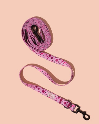 Smycz przepinana PawBerry