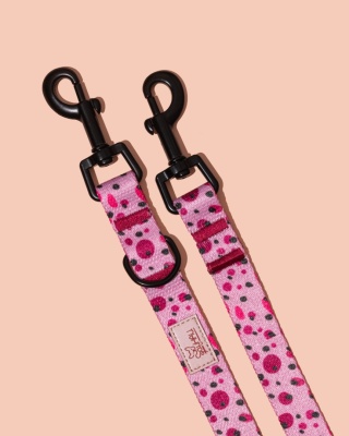 Smycz przepinana PawBerry