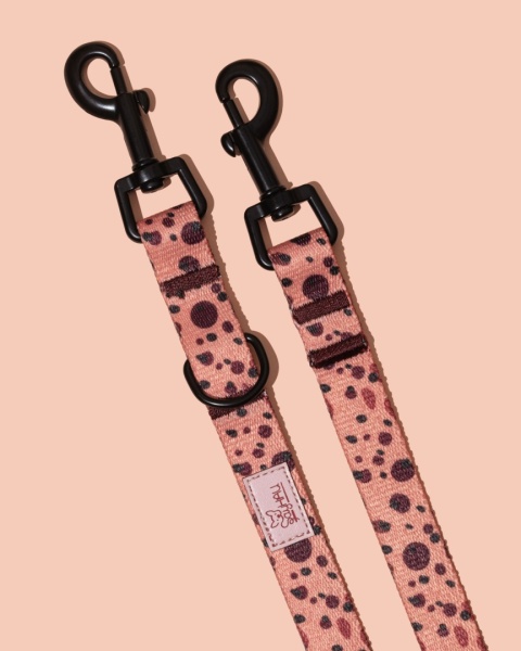 Smycz przepinana PawCocoa