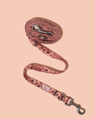 Smycz przepinana PawCocoa