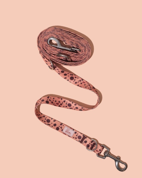 Smycz przepinana PawCocoa