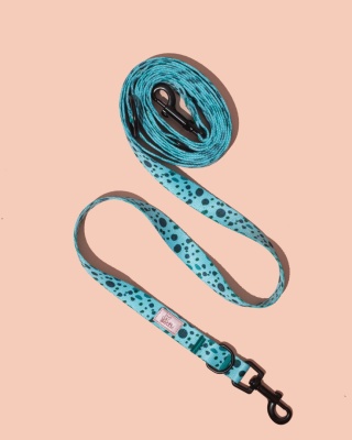 Smycz przepinana PawLagoon