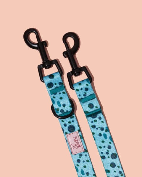 Smycz przepinana PawLagoon