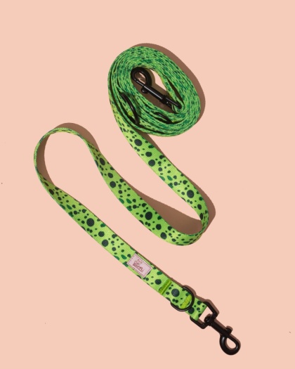 Smycz przepinana PawMint