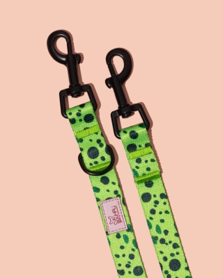 Smycz przepinana PawMint