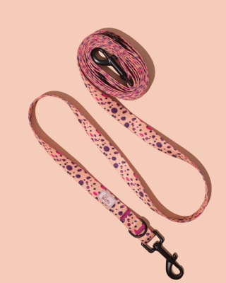 Smycz przepinana PawPlum