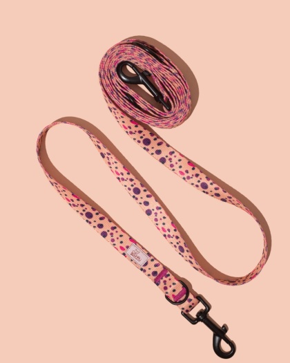 Smycz przepinana PawPlum