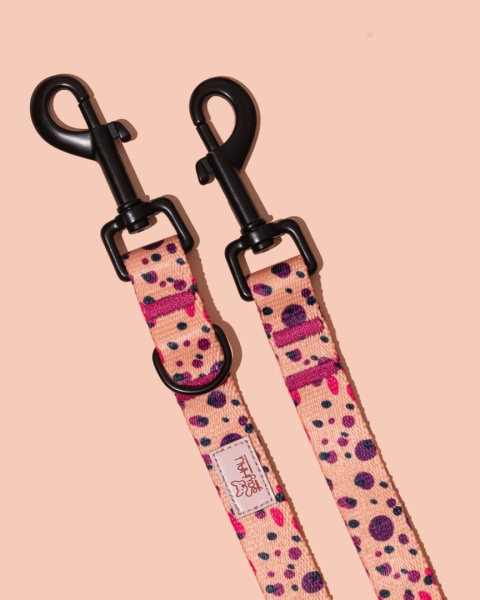 Smycz przepinana PawPlum