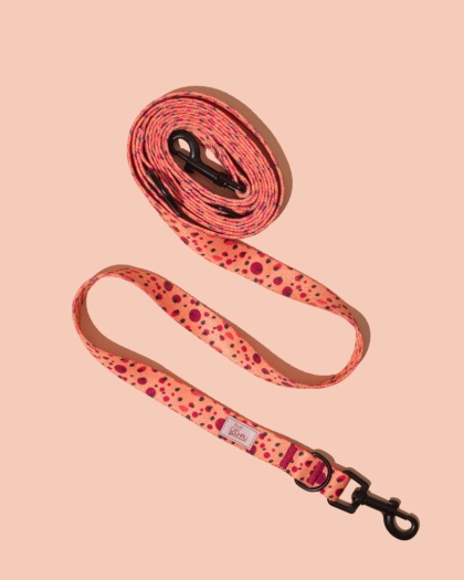 Smycz przepinana PawTangerine