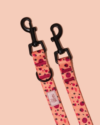 Smycz przepinana PawTangerine