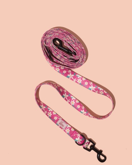 Smycz przepinana PupsyBlossom