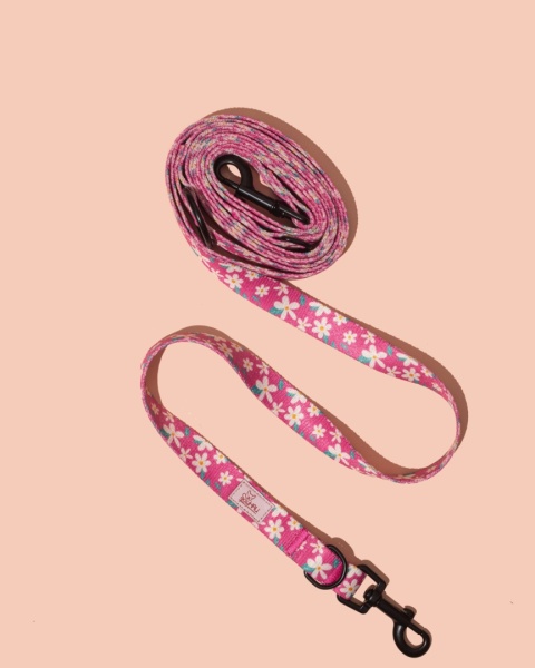 Smycz przepinana PupsyBlossom