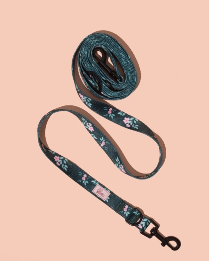 Smycz przepinana PupsyBlush