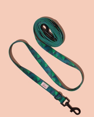 Smycz przepinana PupsyFern