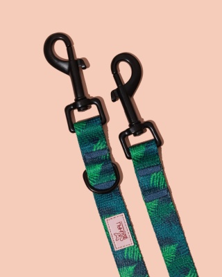 Smycz przepinana PupsyFern