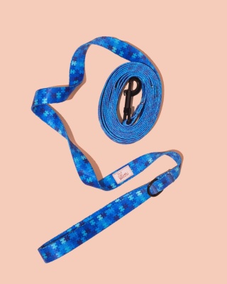 Smycz spacerowa HauBlue