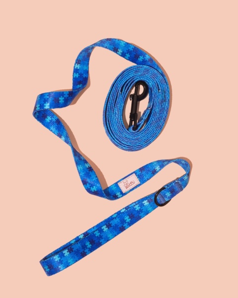 Smycz spacerowa HauBlue