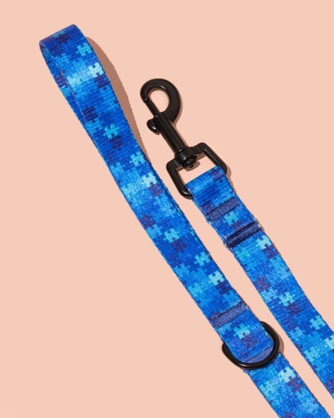 Smycz spacerowa HauBlue