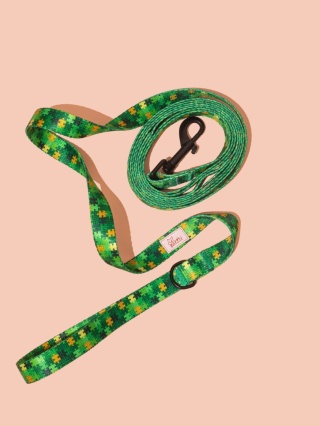 Smycz spacerowa HauGreen