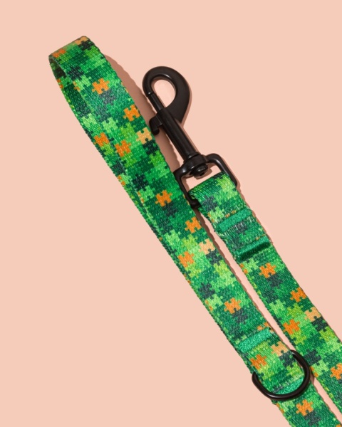 Smycz spacerowa HauGreen