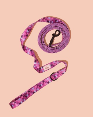 Smycz spacerowa HauPink