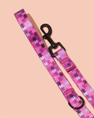 Smycz spacerowa HauPink