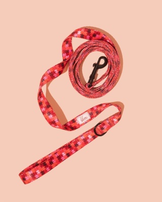 Smycz spacerowa HauRed