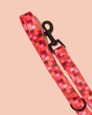 Smycz spacerowa HauRed