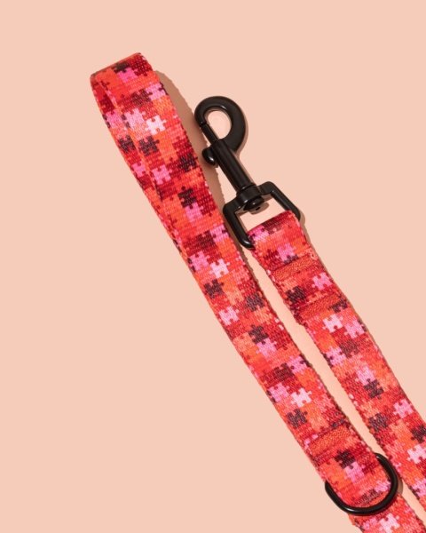 Smycz spacerowa HauRed