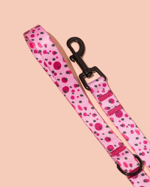 Smycz spacerowa PawBerry