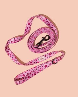 Smycz spacerowa PawBerry