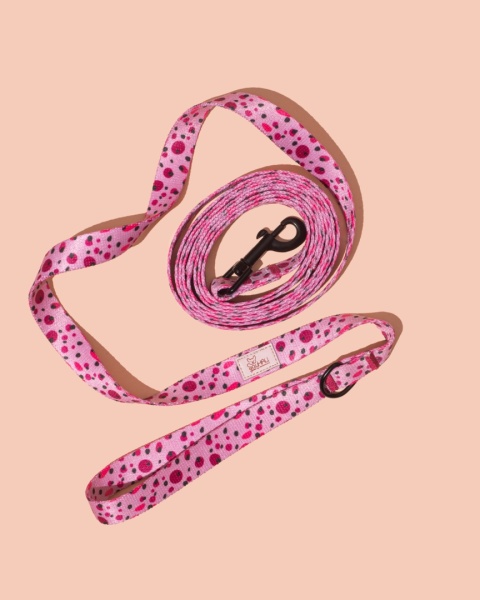 Smycz spacerowa PawBerry