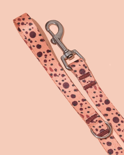 Smycz spacerowa PawCocoa