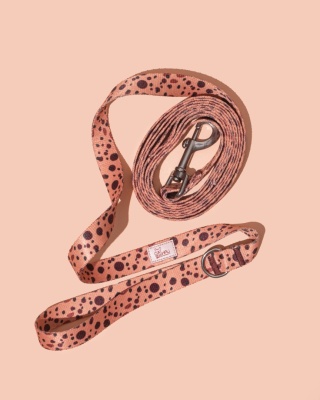 Smycz spacerowa PawCocoa