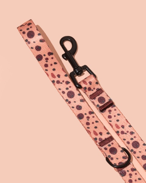 Smycz spacerowa PawCocoa