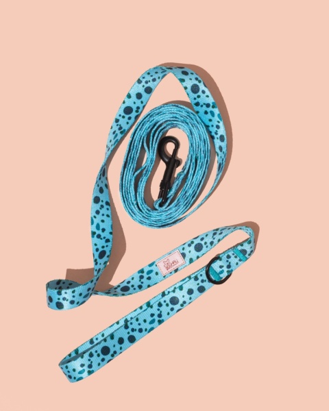 Smycz spacerowa PawLagoon