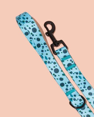 Smycz spacerowa PawLagoon