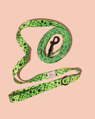 Smycz spacerowa PawMint